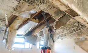 Best Residential Mold Inspection & Testing  in Benicia, CA